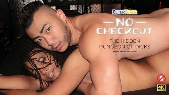 No Checkout 1-Hidden Dungeon Of Dicks – Krozy Kay, Shae Thorne