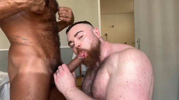 Lucas Rocha & PJ Knox