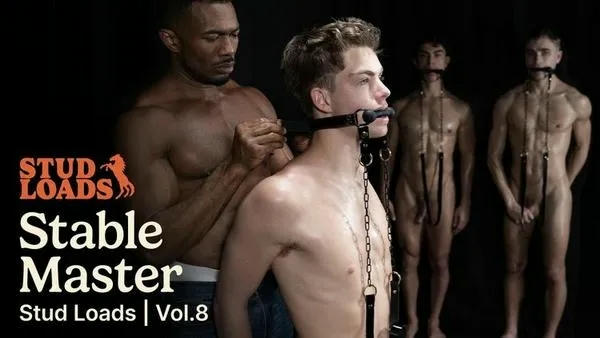 Stud Loads Vol. 8 – Stable Master – Alfonso Osnaya, Flynn Fenix, Oliver Carter, Sean Xavier